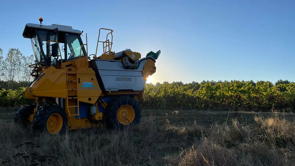 Travaux forestiers à Montguyon